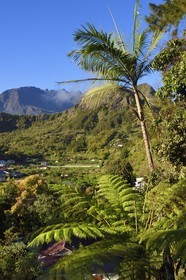France, Ile de la Reunion, Cirque de Salazie, classé Patrimoine Mondial de l'UNESCO, le hameau de Mare à Vieille Place