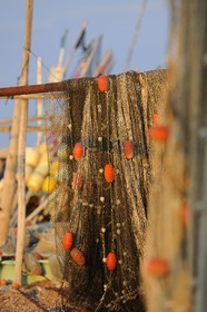France, Herault, Sete, quartier de la Pointe Courte (Pointe Courte District), village of fishermen opening onto the bassin of Thau, fishing nets