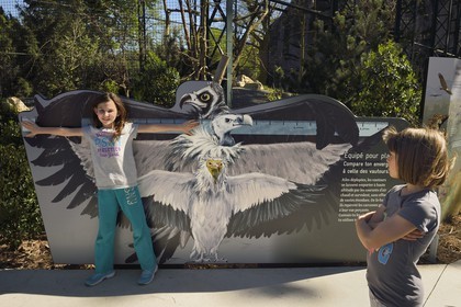 France, Paris (75), Le Parc zoologique de Paris (Zoo de Vincennes), enfant confrontant son envergure à celle des vautours devant leur volière dans la biozone européenne