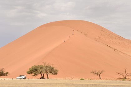 Namibie, région d'Hardap, désert du Namib, parc national du Namib-Naukluft, Erg du Namib classé Patrimoine Mondial de l'UNESCO, dunes de Sossusvlei, randonneurs sur la dune 45