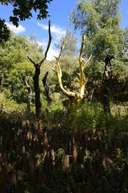 France, Morbihan (56), forêt de Brocéliande, Tréhorenteuc, sculpture L'Arbre d'Or de l'artiste François Davin dans le Val sans retour