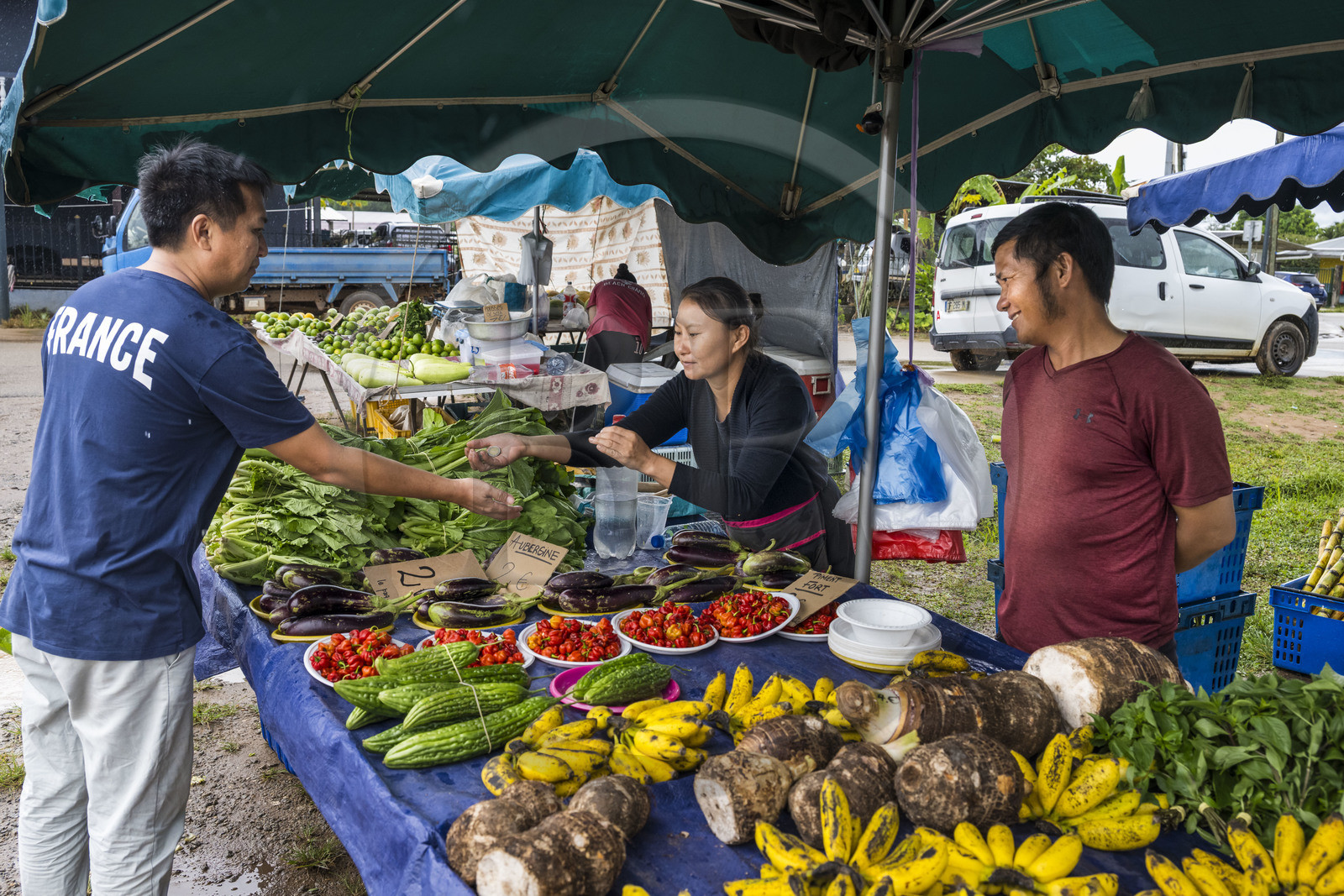 France, Guyane, Javouhey, marché du dimanche Hmong, réfugiés du Laos arrivés en 1978 qui se sont spécialisés dans la culture fruitière, Monica et son mari devant leur étal de racines de tarot, basilic thai et bananes, margozes et autres piments