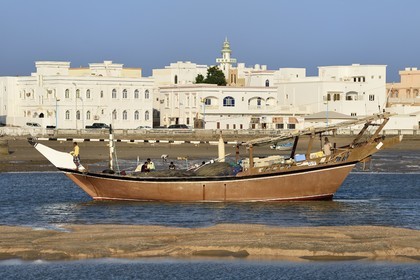 Sultanat d'Oman, gouvernorat de Ash Sharqiyah, ville et port de Sour, le vieux quartier de pêcheurs de Al Ayjah, pecheurs sortant du port sur leur boutre