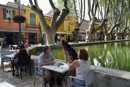France, Vaucluse, Parc Naturel Regional du Luberon (Natural Regional Park of Luberon), Cucuron, labelled Les Plus Beaux Villages de France (The Most Beautiful Villages of France), the basin of the pond surrounded by centennial plane trees