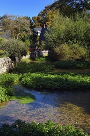 France, Seine-Maritime (76), Côte d'Albatre, Pays de Caux, Veules-les-Roses, labellisé Les Plus Beaux Villages de France, cressonnières arrosées par la Veules fleuve célèbre pour la faible longueur de son cours (1 100 m)