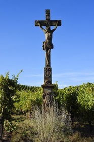 France, Bas-Rhin (67), Route des vins d'Alsace, Nothalten, calvaire dans le vignoble du grand cru Muenchberg sur les anciennes terres des moines