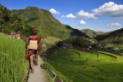 Philippines, province d'Ifugao, les rizières en terrasses de Banaue autour du village de Batad, classées Patrimoine Mondial de l'UNESCO, le guide Adolpho revetu du costume traditionnel Ifugao