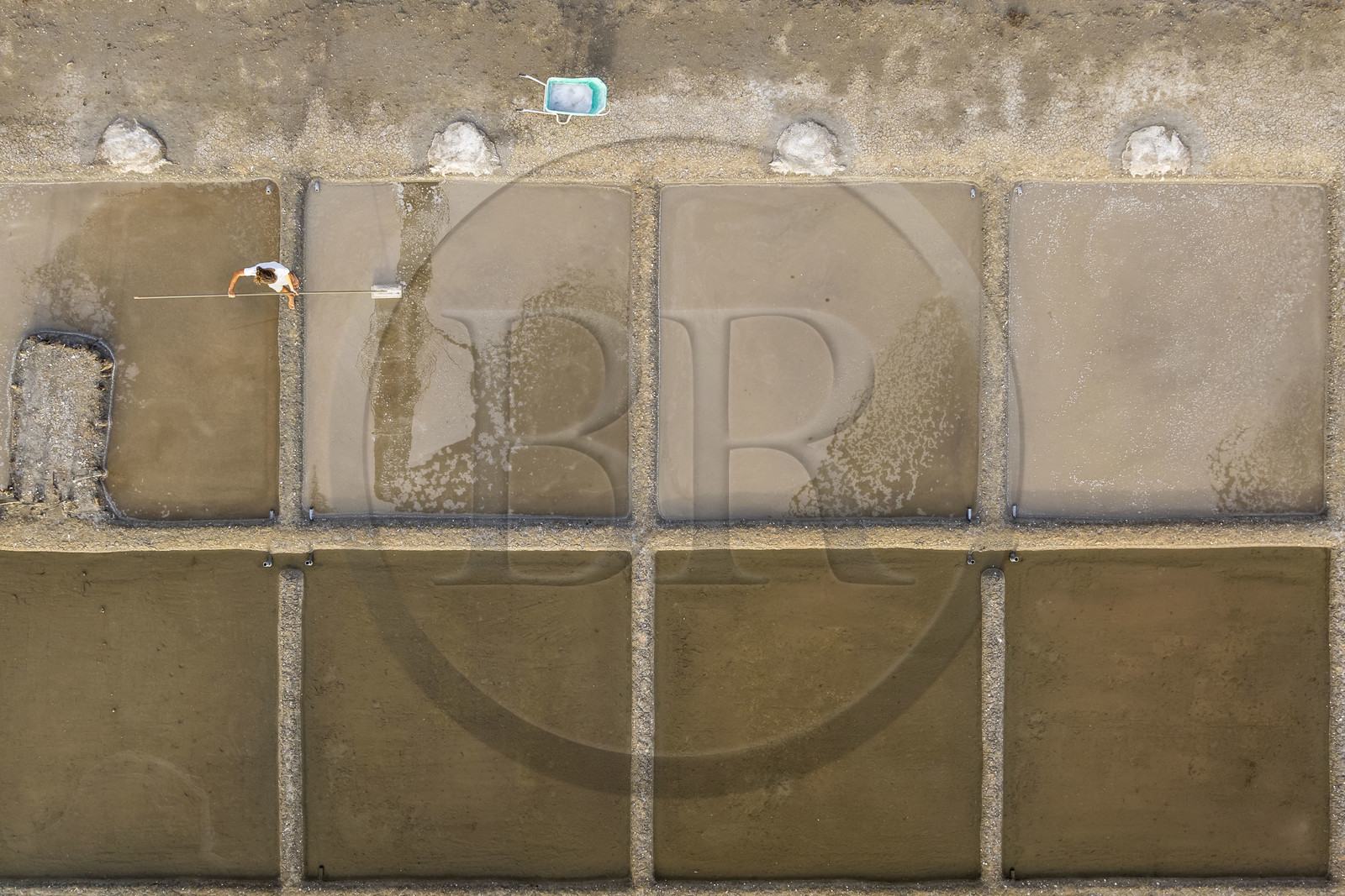 France, Charente Maritime, Oleron island, Saint Georges d'Oléron, artisanal picking of flower of salt by salt worker Samuel Barbereau (aerial view)