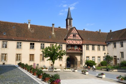 France, Bas Rhin, Rosheim village, General de Gaulle street, School gate