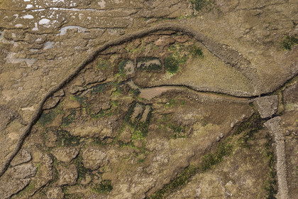 France, Charente Maritime, Oleron island, Saint Georges d'Oléron, Sables Vignier beach at low tide, the Basses fish lock (aerial view)