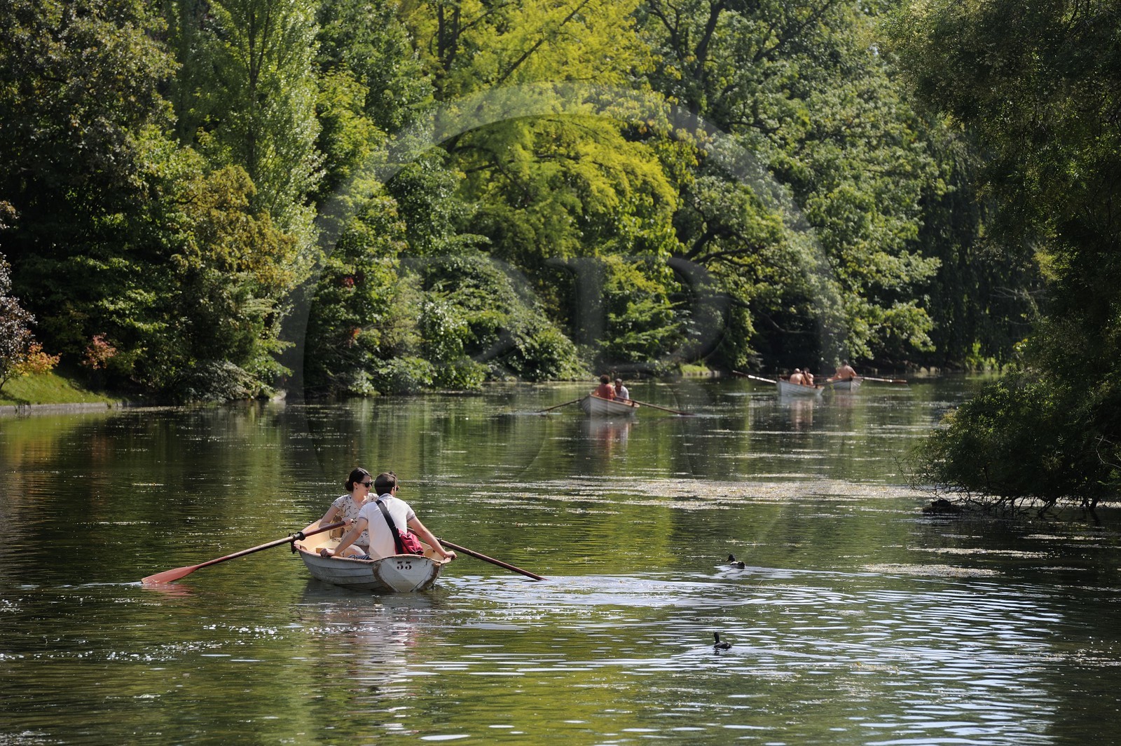 France, Paris (75), le Bois de Boulogne, promenade en barque autours des iles du Lac Inférieur