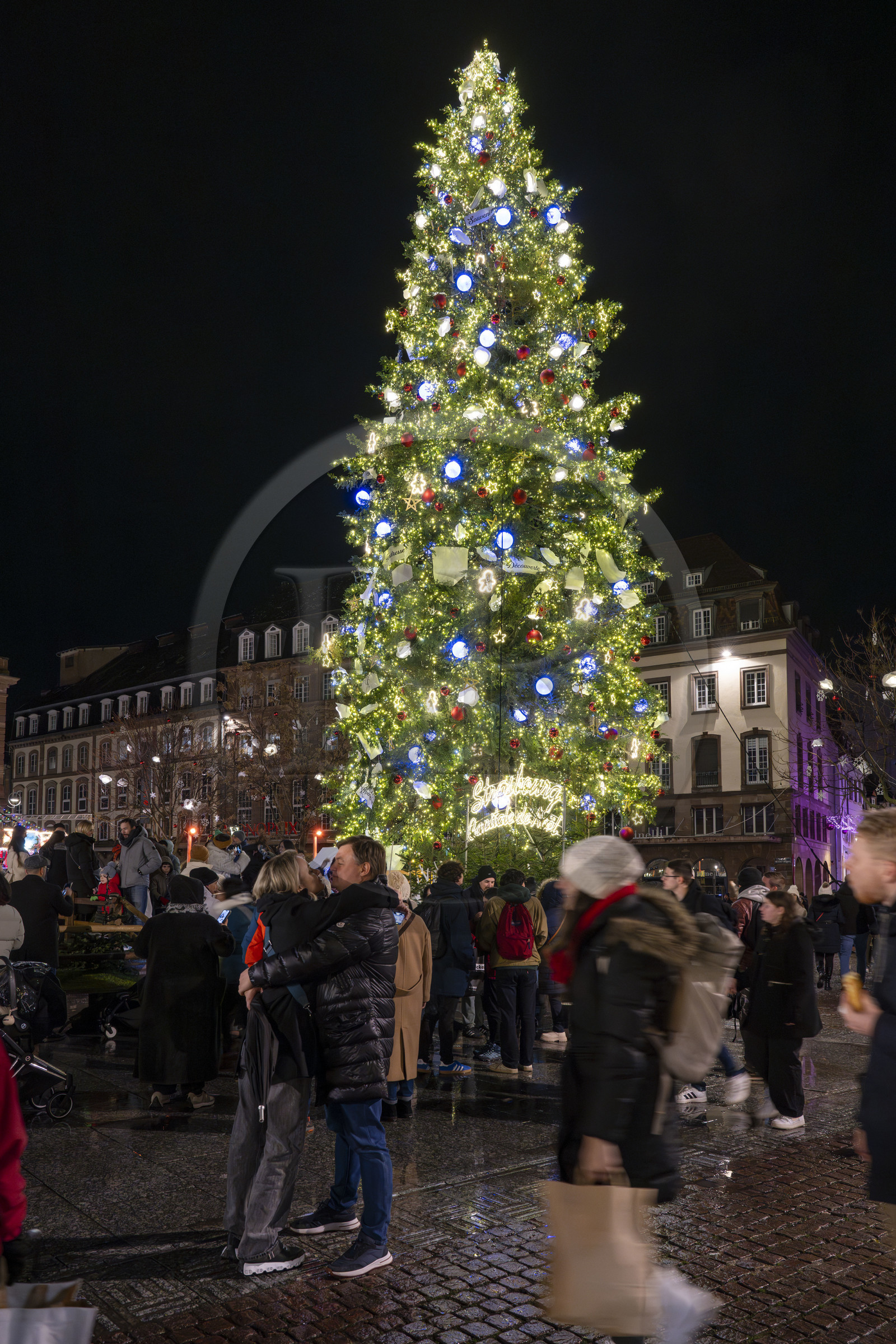 France, Bas-Rhin (67), Strasbourg, vieille ville classée au Patrimoine Mondial de l’UNESCO, le Grand Sapin de Noël de la place Kléber