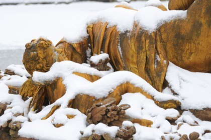 France, Yvelines, snow covered park of the Chateau de Versailles, listed as World Heritage by UNESCO, flora basin in winter also called the spring basin in Winter