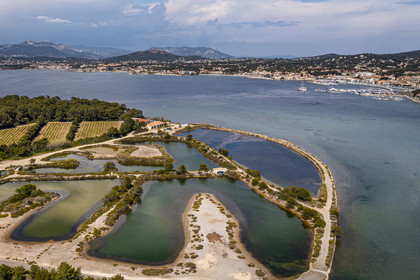 France, Var (83), Six-Fours-les-Plages, Ile des Embiez, les anciens marais salants en premier plan et vignoble (vue aérienne)