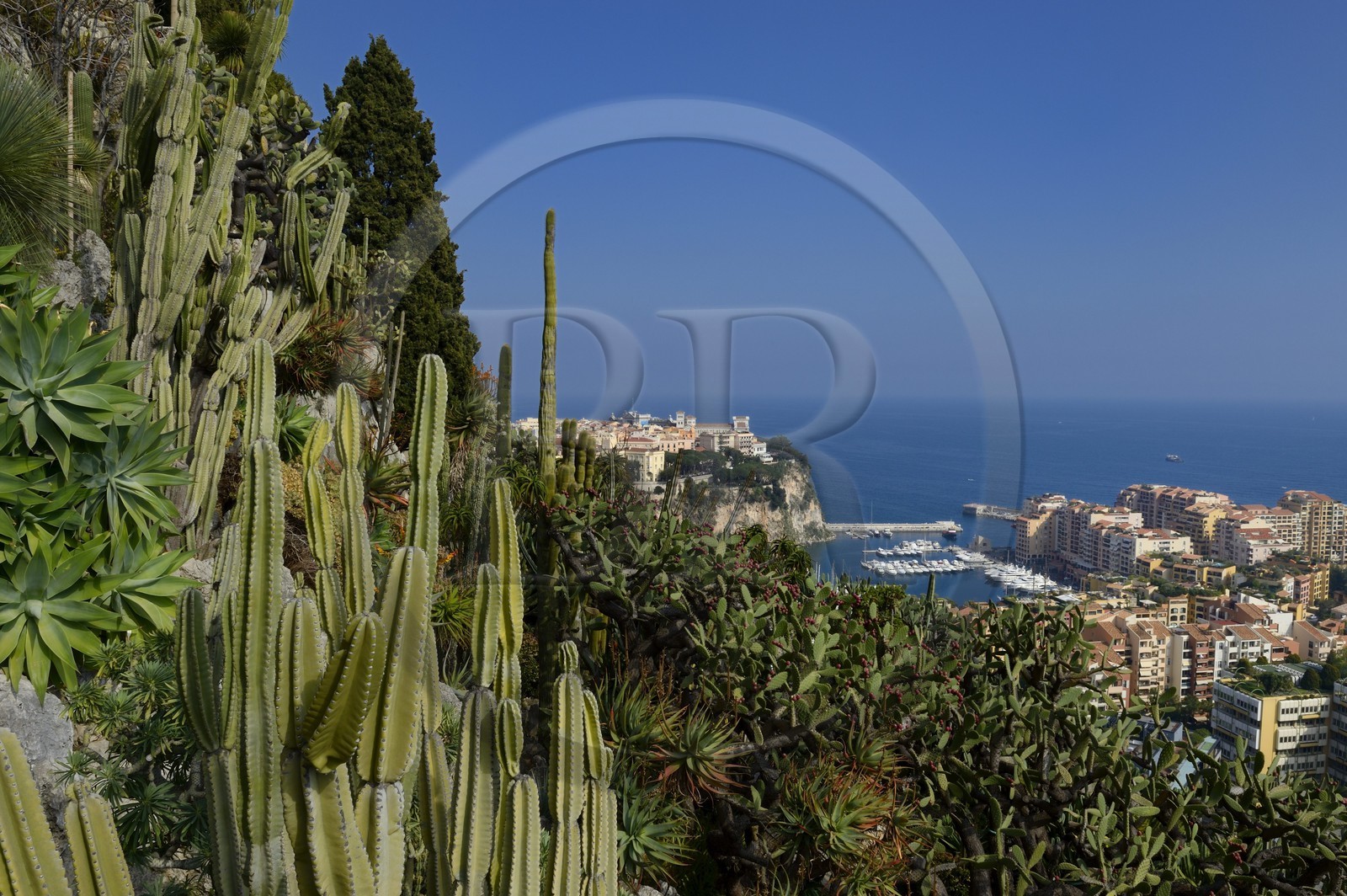 Principauté de Monaco, Monaco, le Jardin Exotique regroupant plusieurs milliers d'espèces de plantes succulentes, le Rocher et le port de Fontvieille en arrière plan