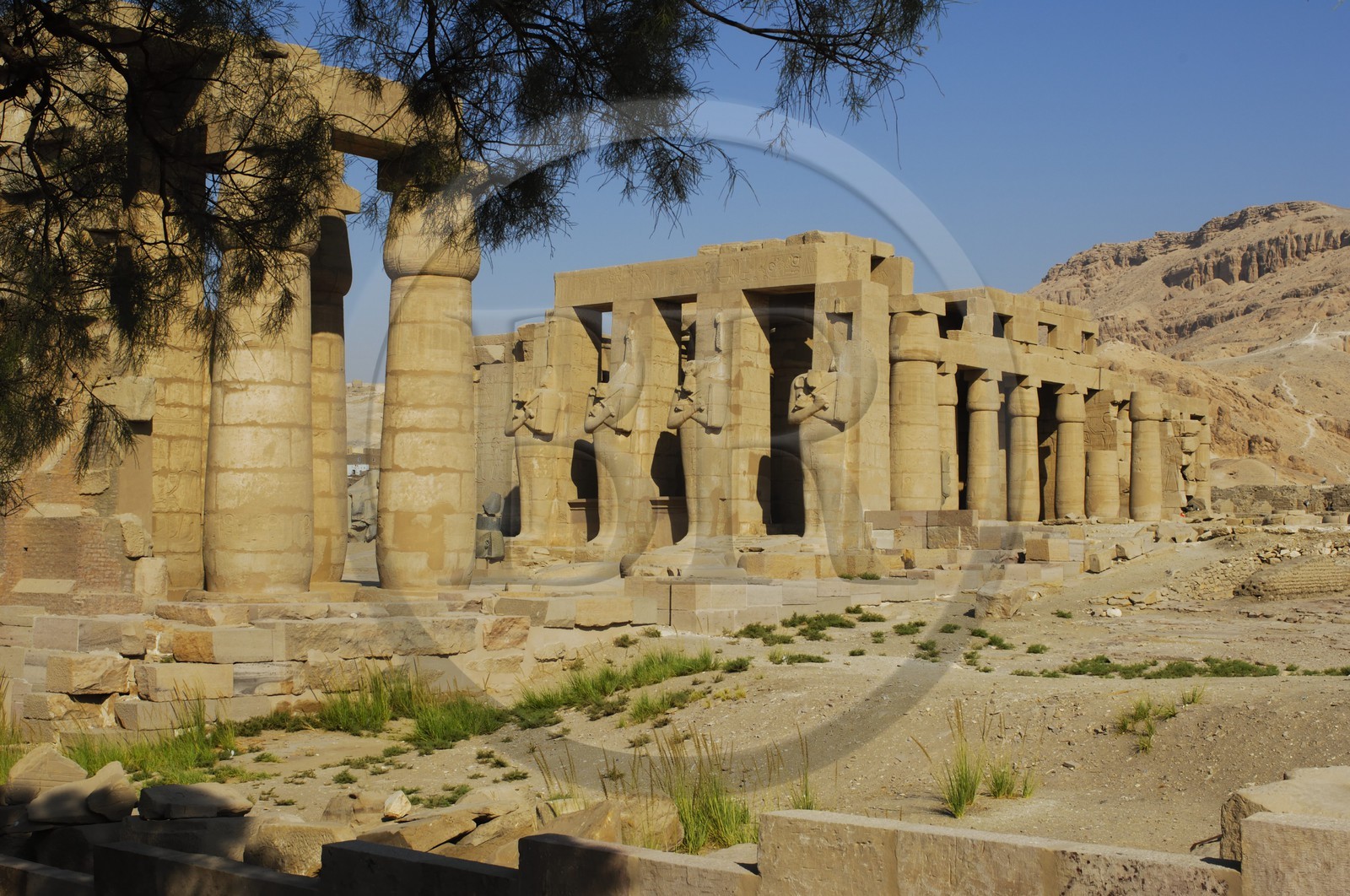Egypte, Haute Egypte, vallée du Nil, environs de Louxor, nécropole thébaine classée Patrimoine Mondial de l'UNESCO, Thèbes Ouest, temple de Ramesseum
