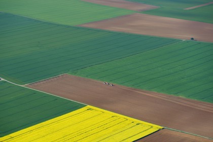 France, Eure (27), champ de colza en fleurs (vue aérienne)