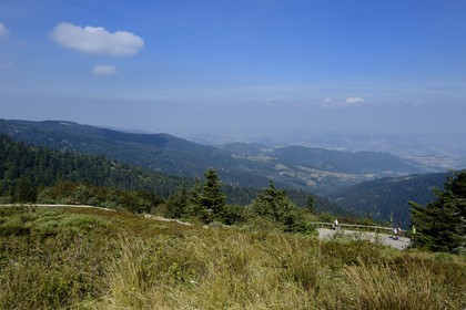 France, Loire (42), Parc Naturel Régional du Pilat, paysage vers le nord depuis le Crêt de l'Oeillon dans le massif du Pilat
