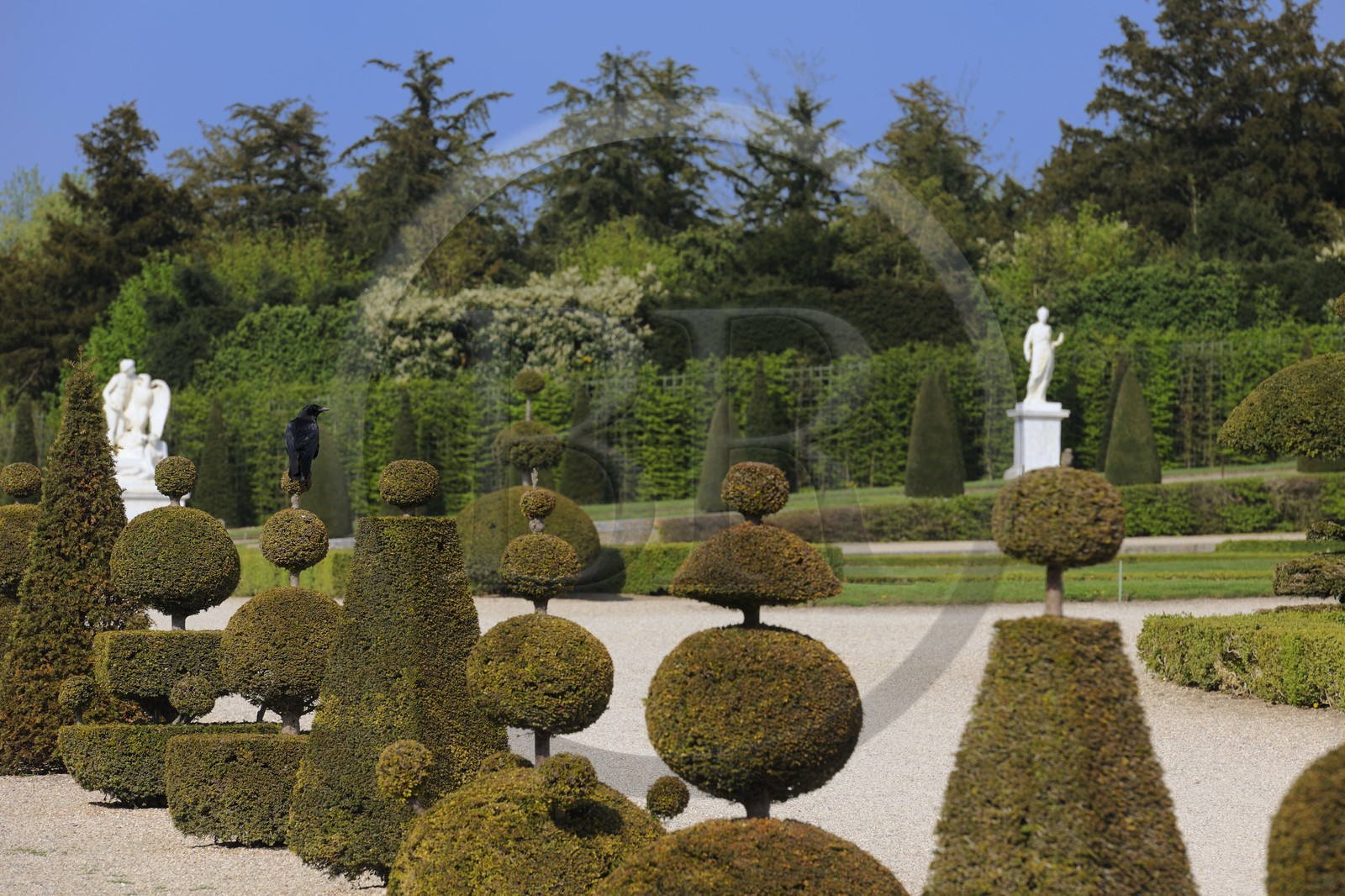 France, Yvelines (78), parc du château de Versailles, classé Patrimoine Mondial de l'UNESCO