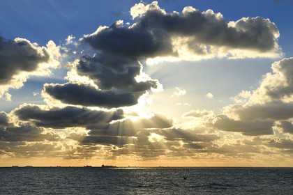 France, Seine-Maritime (76), Le Havre, cargos au mouillage au large en zone d'attente portuaire du Havre