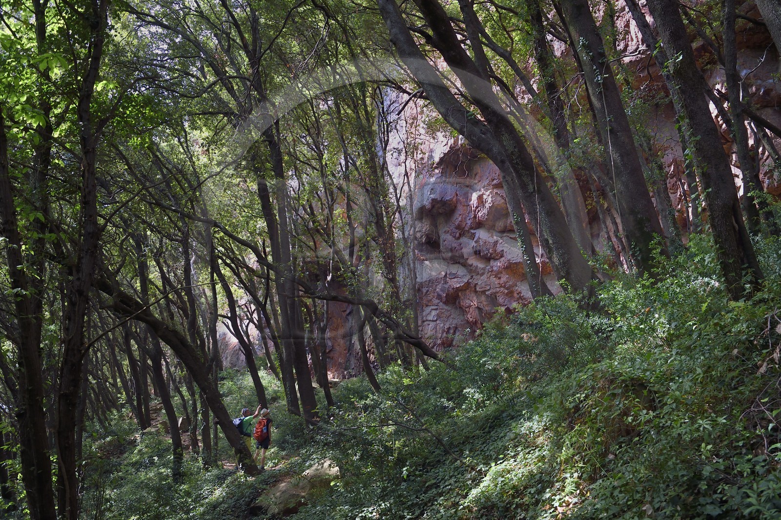France, Var (83), entre Bagnols-en-Forêt et Roquebrune-sur-Argens, randonnée dans les Gorges du Blavet