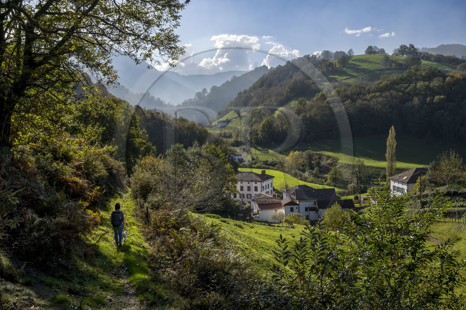 France, Pyrénées-Atlantiques (64), Pays-Basque, vallée des Aldudes, randonneur sur un sentier menant au village d'Urepel France, Pyrénées-Atlantiques (64), Pays-Basque, vallée des Aldudes, randonneur sur un sentier menant au village d'Urepel
