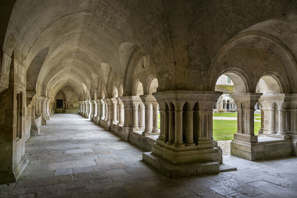 France, Côte-d'Or (21), Marmagne, l'abbaye cistercienne de Fontenay classée au Patrimoine Mondial de l'UNESCO, le cloître