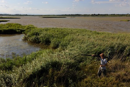 France, Hérault (34), région du Cap d'Agde, la Réserve Naturelle Nationale du Bagnas à l’ouest de l’étang de Thau