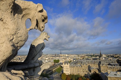 France, Paris (75), île de la Cité, la cathédrale Notre-Dame, les chimères observent la ville