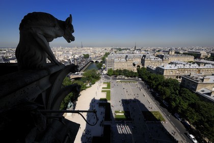 France, Paris (75), île de la Cité, la cathédrale Notre-Dame, les chimères observent la ville