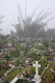 France, Ile de la Reunion, Cirque de Salazie, classé Patrimoine Mondial de l'UNESCO, Hell-Bourg, labellisé les Plus Beaux Villages de France, le cimetière constitué de tombes en pleine terre fleuries naturellement