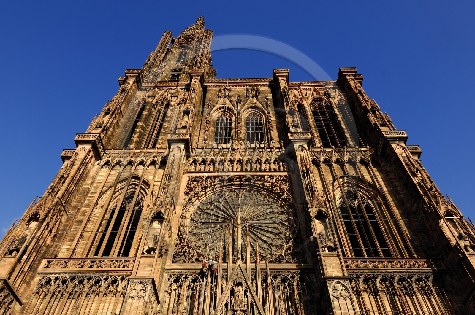 France, Bas Rhin (67), Strasbourg, la cathédrale Notre-Dame, travaux d'entretien sur la facade par des alpinistes en rappel