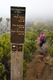 France, Ile de la Reunion, Parc National de la Réunion classé Patrimoine Mondial de l'UNESCO, sur les pentes du volcan de Piton de la Fournaise, randonnée du sentier entre le Piton Textor au Piton Argamasse
