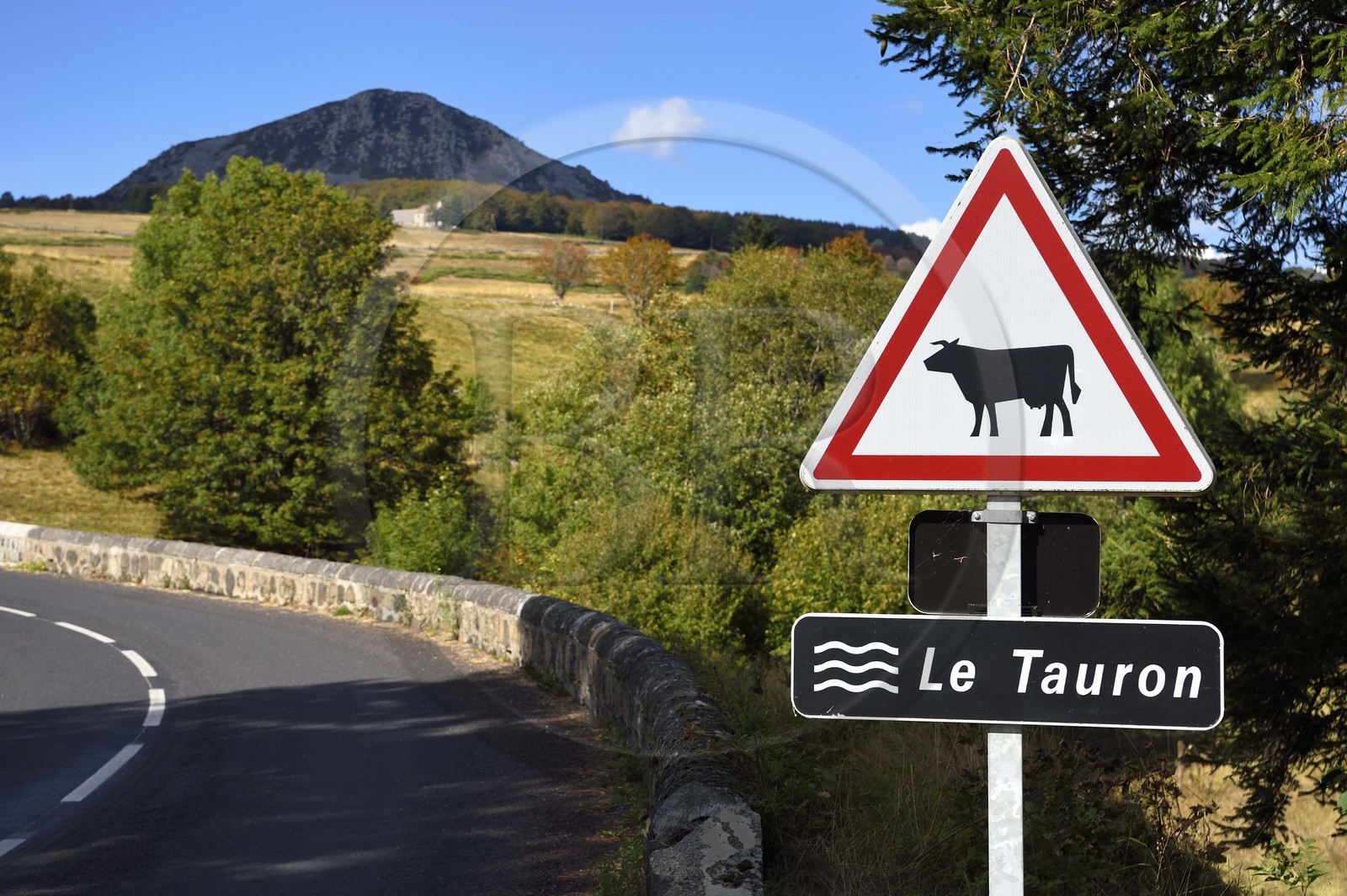 France, Ardèche (07), Sainte-Eulalie, pont sur le Tauron à Les Jalades, panneau indicateur de Passage de vaches, le Suc de la Lauzière en arrière plan