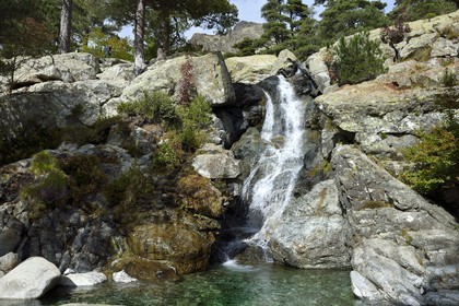 France, Haute Corse, Vivario, hiking on the GR 20, between Onda refuge and Vizzavona, Vizzavona forest, Englishmen cascades, waterfalls group in the Agnone valley under the Monte d'Oro
