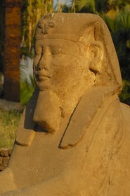 Egypte, Haute Egypte, vallée du Nil, temple de Louxor classé Patrimoine Mondial de l'UNESCO, le Dromos