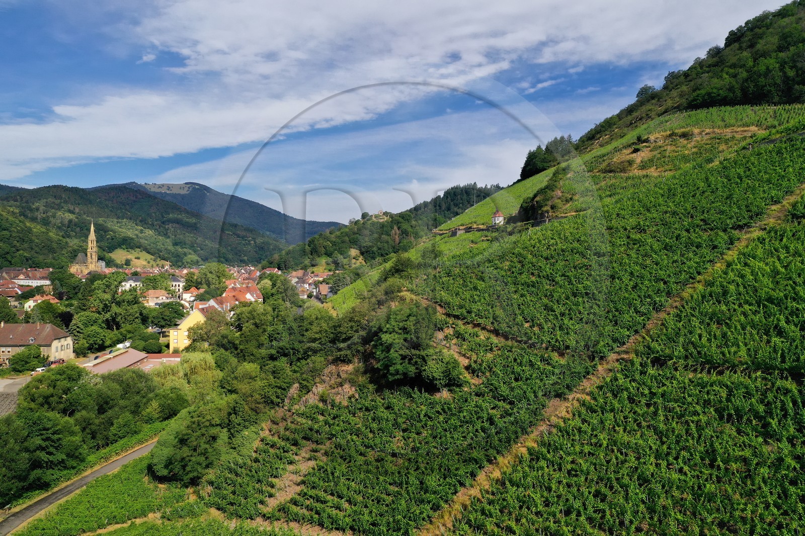 France, Haut-Rhin (68), Route des vins d'Alsace, Thann, vignoble Grand Cru de Rangen qui surplombe la ville de Thann et la coll