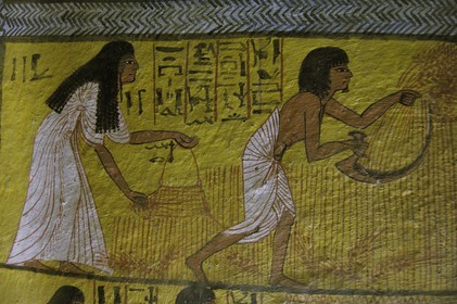 Egypte, Haute Egypte, vallée du Nil, environs de Louxor, nécropole thébaine classée Patrimoine Mondial de l'UNESCO, Thèbes Ouest, Deir el-Medina , la vallée des Artisans, tombe d'un artisan