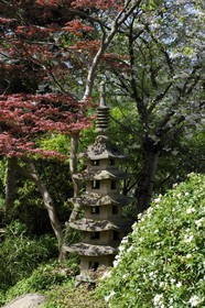 France, Hauts-de-Seine (92), Boulogne-Billancourt, le jardin japonais du musée départemental Albert-Kahn