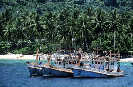 Thailand, Ko Pee Pee, Pee Pee Don island, Ton Sai Bay harbour