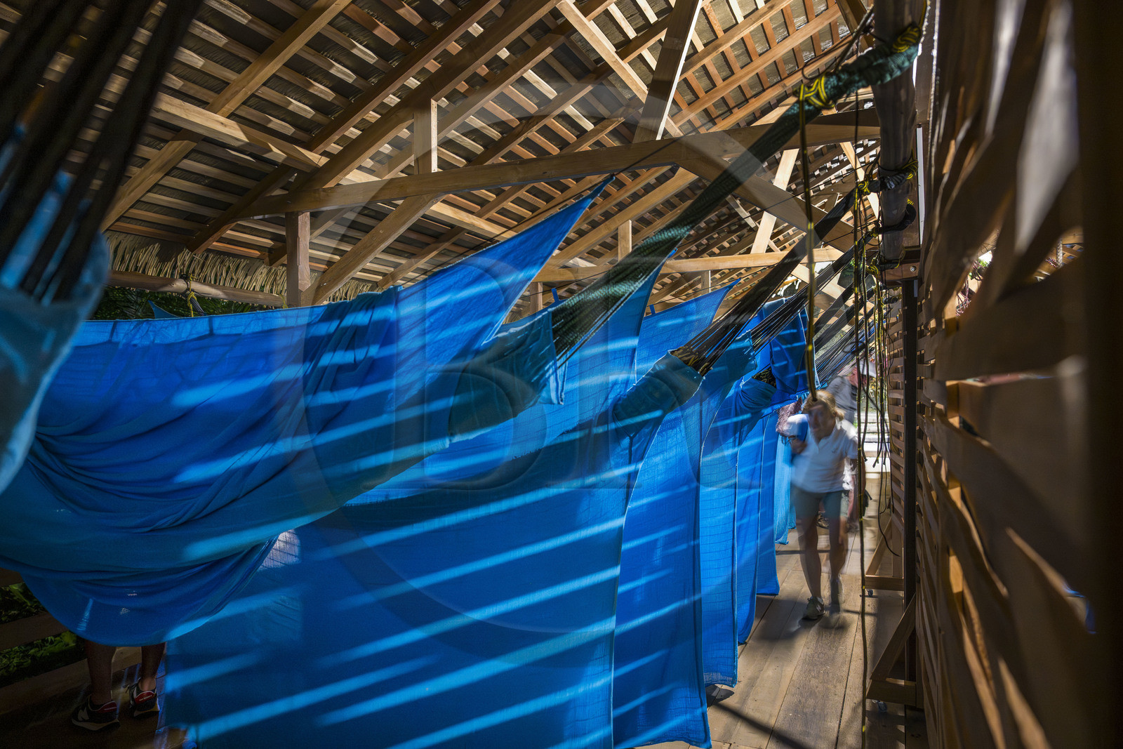 France, Guyane, Kourou, le carbet du Camp Maripas en bordure du fleuve Kourou, les hamacs suspendus sous la charpente