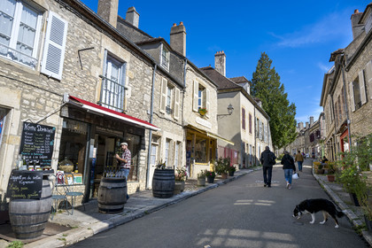 France, Yonne, regional natural park of Morvan, Vézelay, a UNESCO World Heritage site, labelled Les Plus Beaux Villages de France, starting point of one of the main ways to Santiago de Compostela, the main street which goes up towards the basilica, rue Saint Etienne which becomes rue Saint Pierre