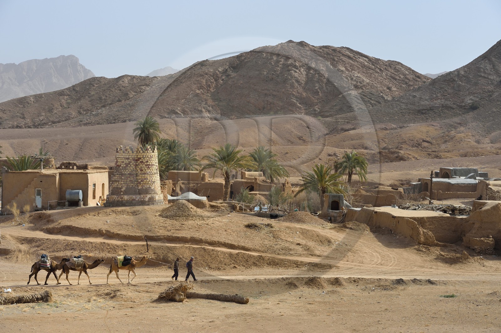 Iran, Province d'Ispahan, désert du Dasht-e Kavir, l'oasis d'Arousan dans la région de Khur et Biabanak
