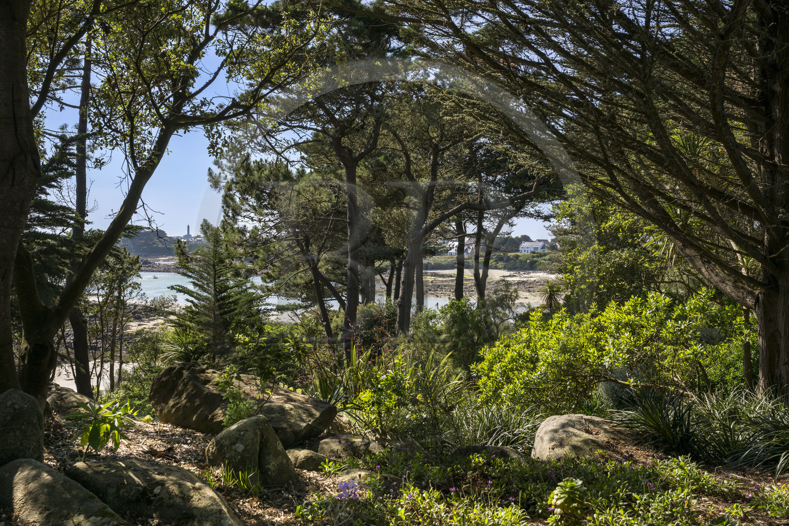 France, Finistère (29), Iles du Ponant, Ile de Batz, jardin Georges Delaselle ou jardin colonial, jardin exotique présentant une collection botanique provenant des cinq continents