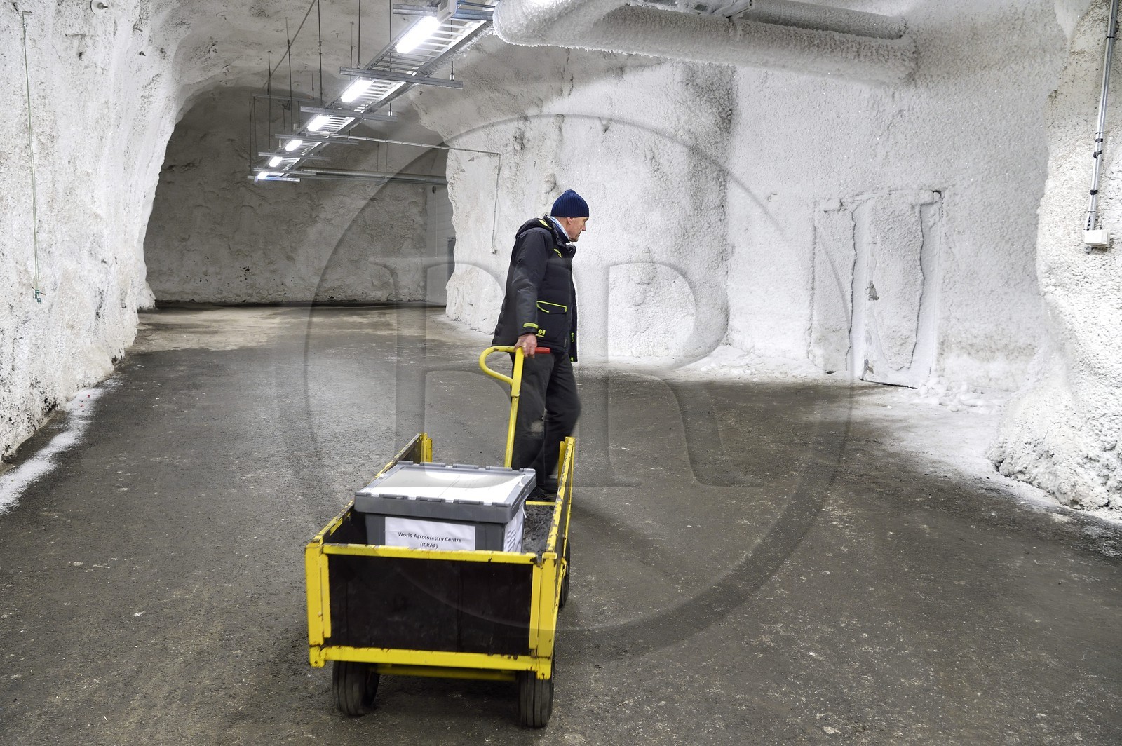 Norvège, Svalbard, Spitzberg, Longyearbyen, la Réserve mondiale de semences du Svalbard (banque de graines du Global Seed Vault), antichambre des 3 zones de stockage creusée dans la roche et à une température constante de -4°C fournie par le permafrost, porte d'accès à la salle de stockage maintenue artificiellement à -18°C Norvège, Svalbard, Spitzberg, Longyearbyen, la Réserve mondiale de semences du Svalbard (banque de graines du Global Seed Vault), antichambre des 3 zones de stockage creusée dans la roche et à une température constante de -4°C fournie par le permafrost, porte d'accès à la salle de stockage maintenue artificiellement à -18°C