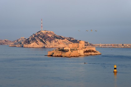 France, Bouches du Rhone, Marseille, Calanques National Park, archipelago of Frioul islands, the Chateau d'If