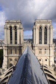 France, Paris (75), île de la Cité, la cathédrale Notre-Dame