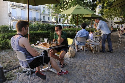 France, Hérault (34), Montpellier, centre historique, l'Ecusson, terrasse de café place du Canourgue
