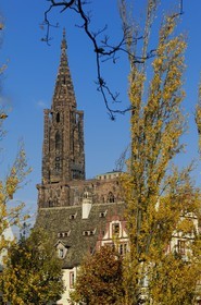 France, Bas Rhin (67), Strasbourg, la cathédrale Notre-Dame