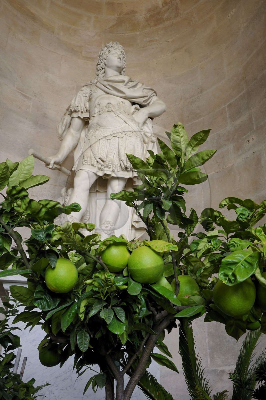 France, Yvelines (78), château de Versailles, classé Patrimoine Mondial de l'UNESCO, l'Orangerie en hiver de Jules Hardouin-Mansart